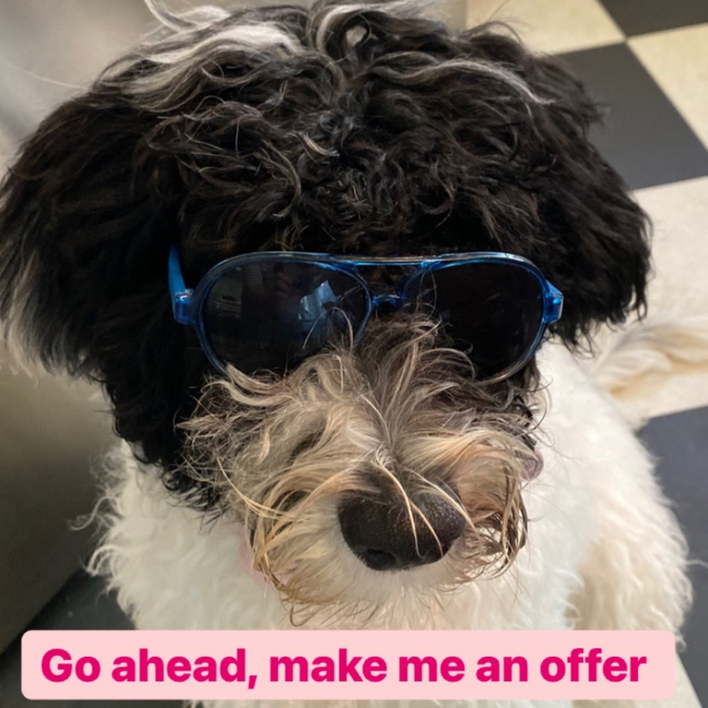 Make me an offer
